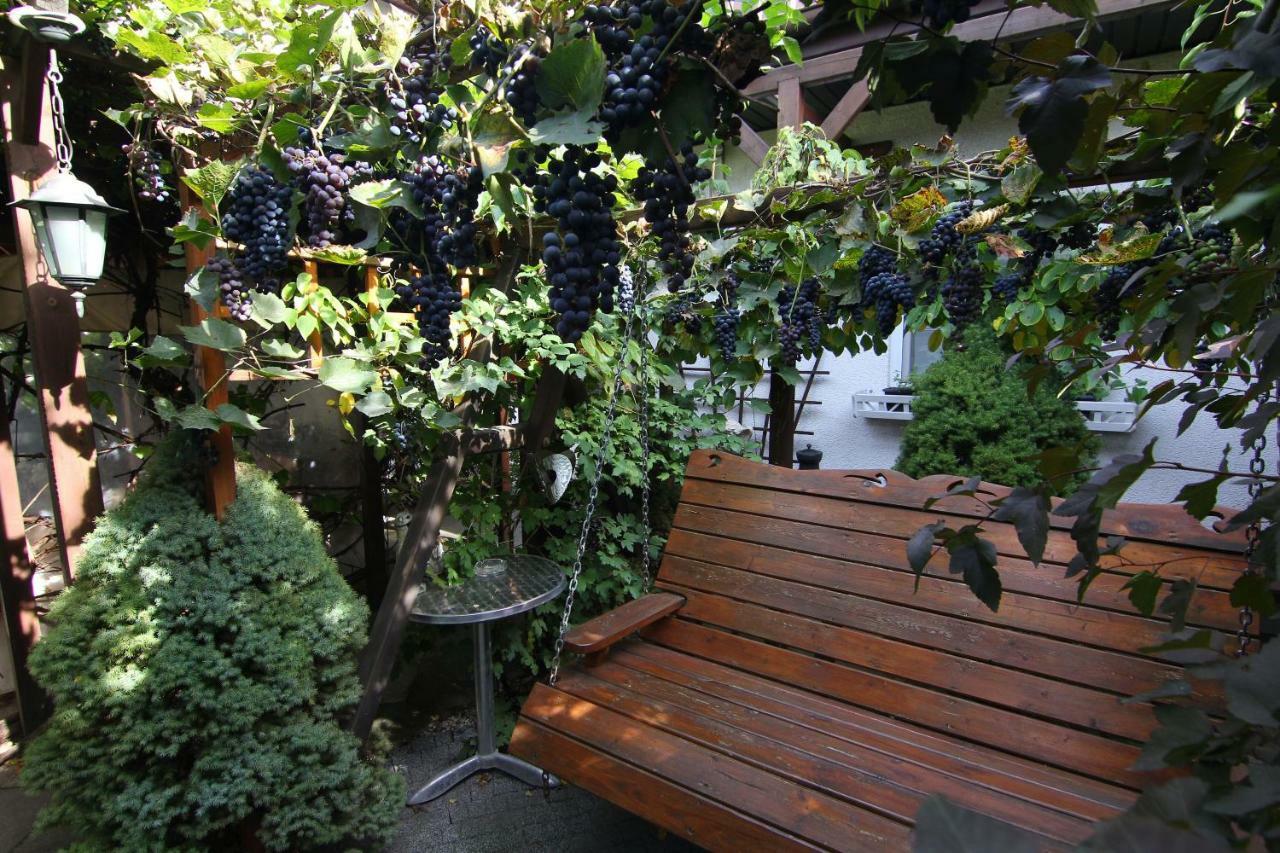 Apartamenty Pod Wiciokrzewem Supraśl エクステリア 写真
